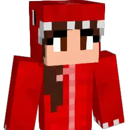 vildex20000