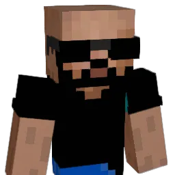 villham13 Minecraft avatar bust