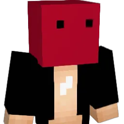 vin1202 Minecraft avatar bust