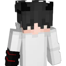 vin558898 Minecraft avatar bust