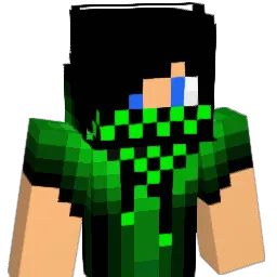 vince33140 Minecraft avatar bust