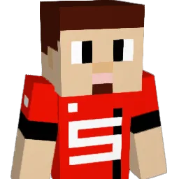 vince35 Minecraft avatar bust