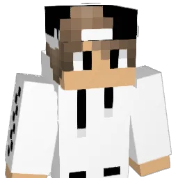 vinci_binsi Minecraft avatar bust