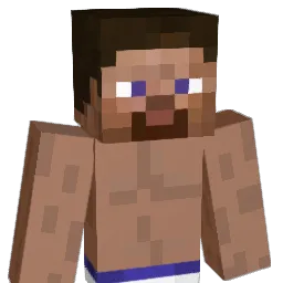 vinicardsa Minecraft avatar bust