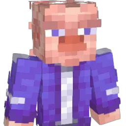 vinsll