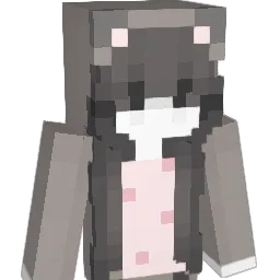 vintte Minecraft avatar bust