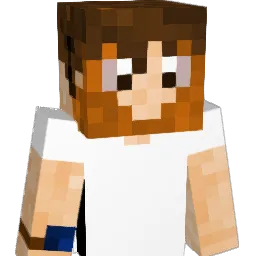 viptour9 Minecraft avatar bust