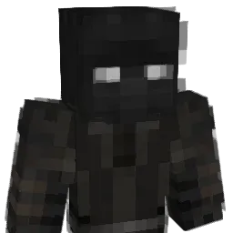 vise_ Minecraft avatar bust