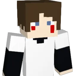 visions_of_u Minecraft avatar bust