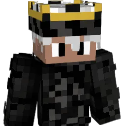 vittinPro