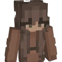 vivbrator11 Minecraft avatar bust