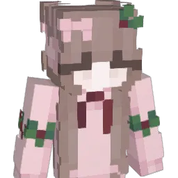 viwals Minecraft avatar bust