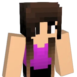 vjr16 Minecraft avatar bust