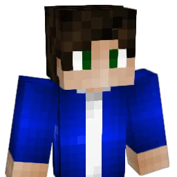vldf Minecraft avatar bust