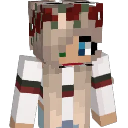 vm1707 Minecraft avatar bust