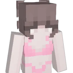 vmanh29 Minecraft avatar bust