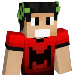 vnccs13 Minecraft avatar bust