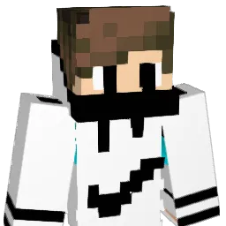 void12354's Minecraft skin
