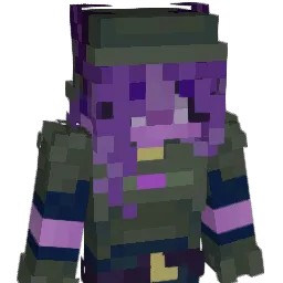 void3231