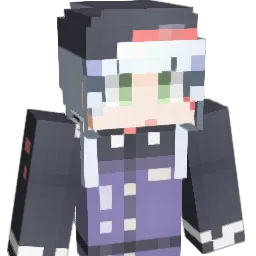 void793's Minecraft skin