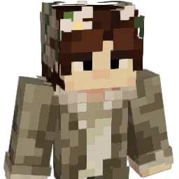 voinn's Minecraft skin