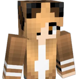 volkswagons Minecraft avatar bust