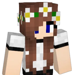 volleyballv1 Minecraft avatar bust
