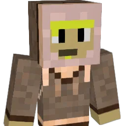 volume8100 Minecraft avatar bust