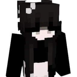 vs6hq Minecraft avatar bust