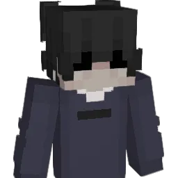 vsdcklg0 Minecraft avatar bust