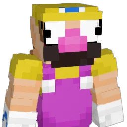 vshungy Minecraft avatar bust