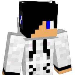 vsresellonig Minecraft avatar bust