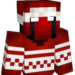 vt10 Minecraft avatar bust