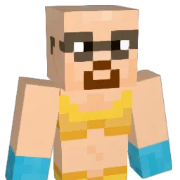 vudible1 Minecraft avatar bust