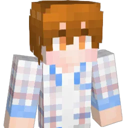 vusual Minecraft avatar bust