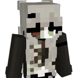 vv3nuss Minecraft avatar bust