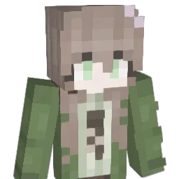vvsilly1