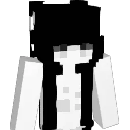 vwwt Minecraft avatar bust