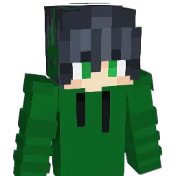 vxlss__ Minecraft avatar bust