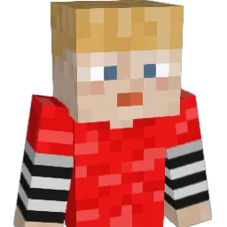 vxrychxrry Minecraft avatar bust