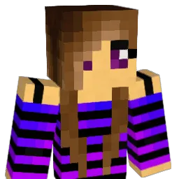 vynllir Minecraft avatar bust
