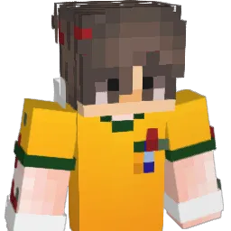 vzns