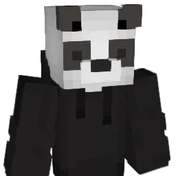 w0a1n1 Minecraft avatar bust