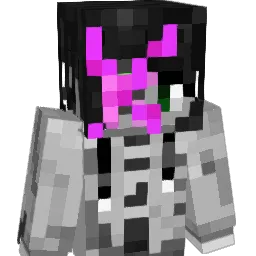 w1fi_bandit Minecraft avatar bust