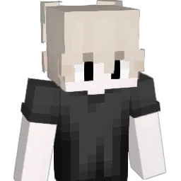 w1nngs
