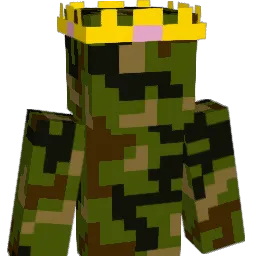 w1shas Minecraft avatar bust
