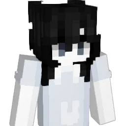 w6_2 Minecraft avatar bust