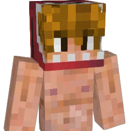 w7p Minecraft avatar bust