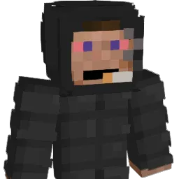 wSebas Minecraft avatar bust