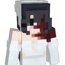wa_n Minecraft avatar bust